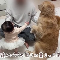パパに大集結する3兄妹