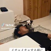 パパの隣に座るピペちゃん