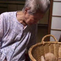 「かわいい、かわいい」