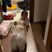 イタズラしてたふたり