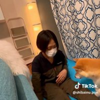 ポンさんを招く飼い主さん