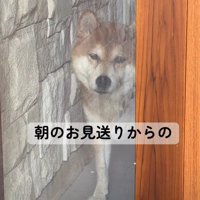 切ない顔でお見送り