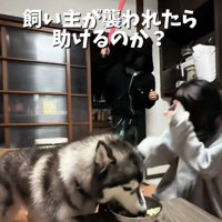 悪者が侵入