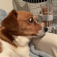 お顔を近づけると…