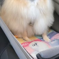 ドライブ