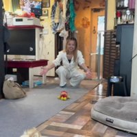 実は現役のトリマーさん