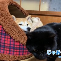 立ち去ろうとしたら…