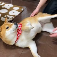 再びキックして、抱っこを拒否！