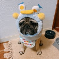お誕生日