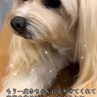 家族全員が前を向けるように