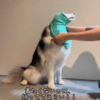 なんだかピタピタ…？