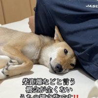 パパにピッタンコ