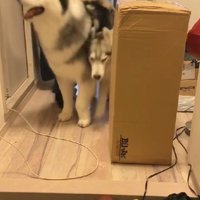 みんなでお出迎え♡