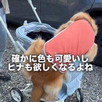 驚異の執念を見せるヒナタちゃん