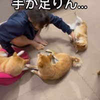 悩む次女