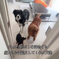 「いってくるね」