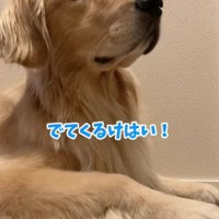 「もう出てきそう！」