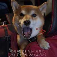 はなまる君の猛抗議5