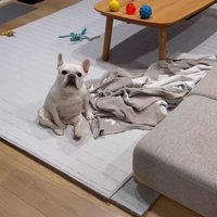 はなちゃんの体勢