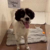 テトくんが幸せを掴むまで2