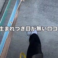 お散歩するときは…