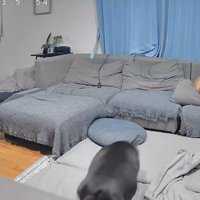 亡くなる26時間前