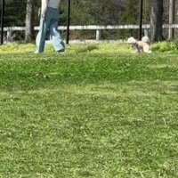 ママの声が聞こえると…