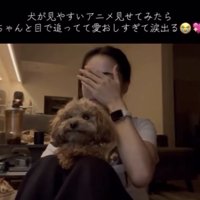 膝の上に座る犬