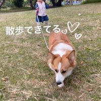 エルモちゃんと娘さん2