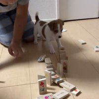 「こっちにもある…」