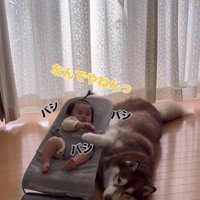 赤ちゃんからもダメ出し