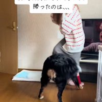 「行かないで」とアピール