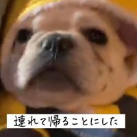 連れて帰ることに！