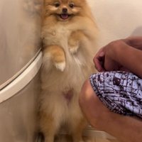 怒られているときも…