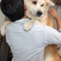 パパへの信頼が伝わる