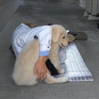 一緒にゴロゴロ…♡
