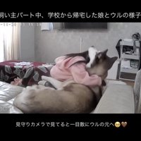 とっても仲良しです