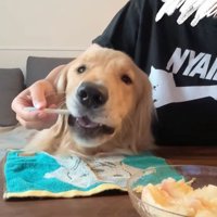 桃を食べるコロッケくん5