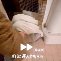 抱っこで寝室に運ばれる男の子