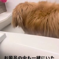 「まだ出ないの…？」