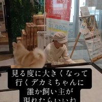 いつまでも売れない