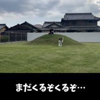 助走をつけて、もう一度突進