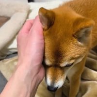待って
