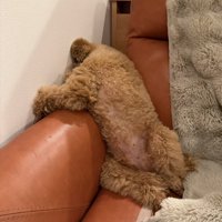 ヤサグレ