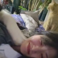 知らんぷりする猫にクスッ