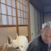 きな子ちゃん、容赦なし