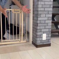 寧々ちゃん＆茶々ちゃんのお出迎え8