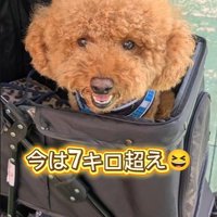 れおん君のビフォーアフター6