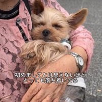 まるで赤ちゃんみたい…