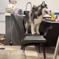 声をかけるママ